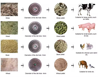 125 model feed pellet machine