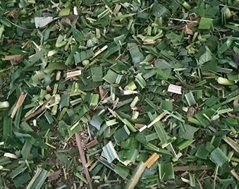 Four-Blade Chaff Cutter