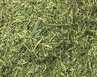Four-Blade Chaff Cutter